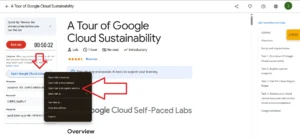 Open google cloud console in Incognito Window